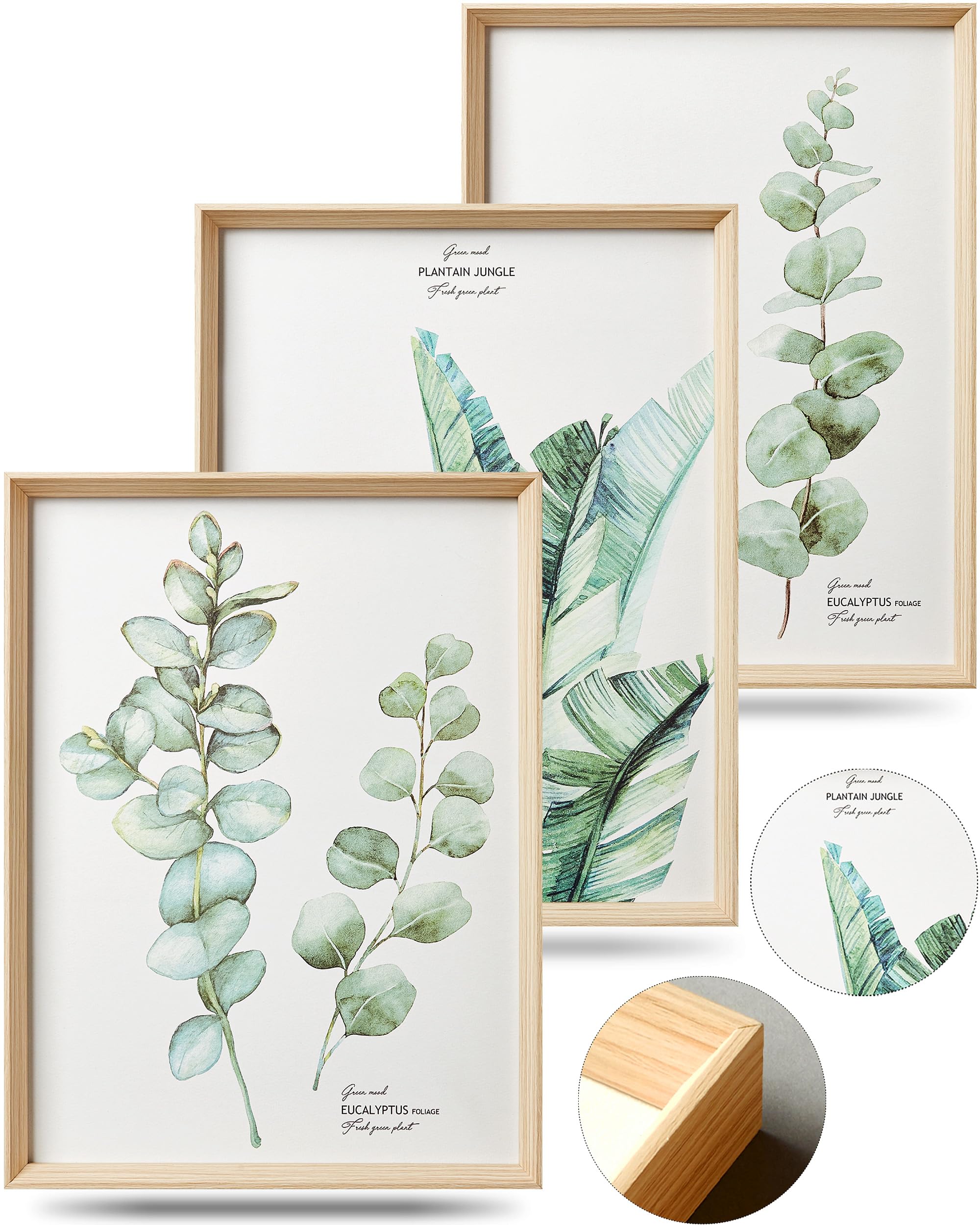 Photo 1 of (MISSING FRAME) HesenDot Framed Wall Art,Minimalist Botanical Canvas Wall Art for Living Room,12x16in Plant Wood High-Framed Design Flower Green Eucalyptus Leaf Artworks Prints Poster for Bathroom,Bedroom Set of 3