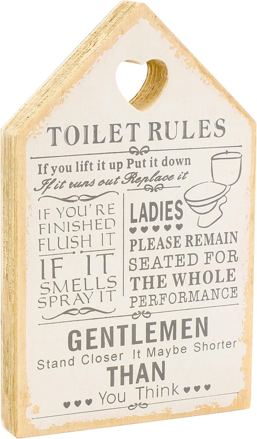 Toilet Rules Plakette WC Regeln in Englisch Holz Schild Rustikal