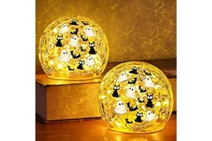 Yinhua 2 PCS Halloween Decorations Indoor 4" Ghost Decor Black Cat Bat Globe Light with Timer Crackle Glass Ball Warm Light for Table Centerpieces Lighted Decorative Ball Led Globe Lamp Gift