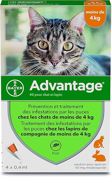 Advantage Chat Anti Puces Pour Chats Moins De 4kg 4 Pipettes