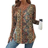 Zeagoo Long Sleeve Tops for Women V Neck Shirt Loose Fall Tunic Tops Dressy Casual Work Blouse 2026