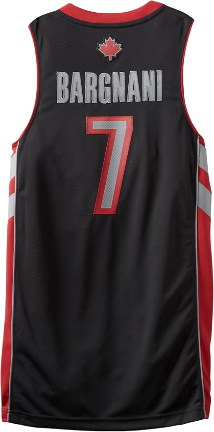 andrea bargnani jersey