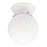 Westinghouse 6660700 Interior Ceiling Fixture 60
