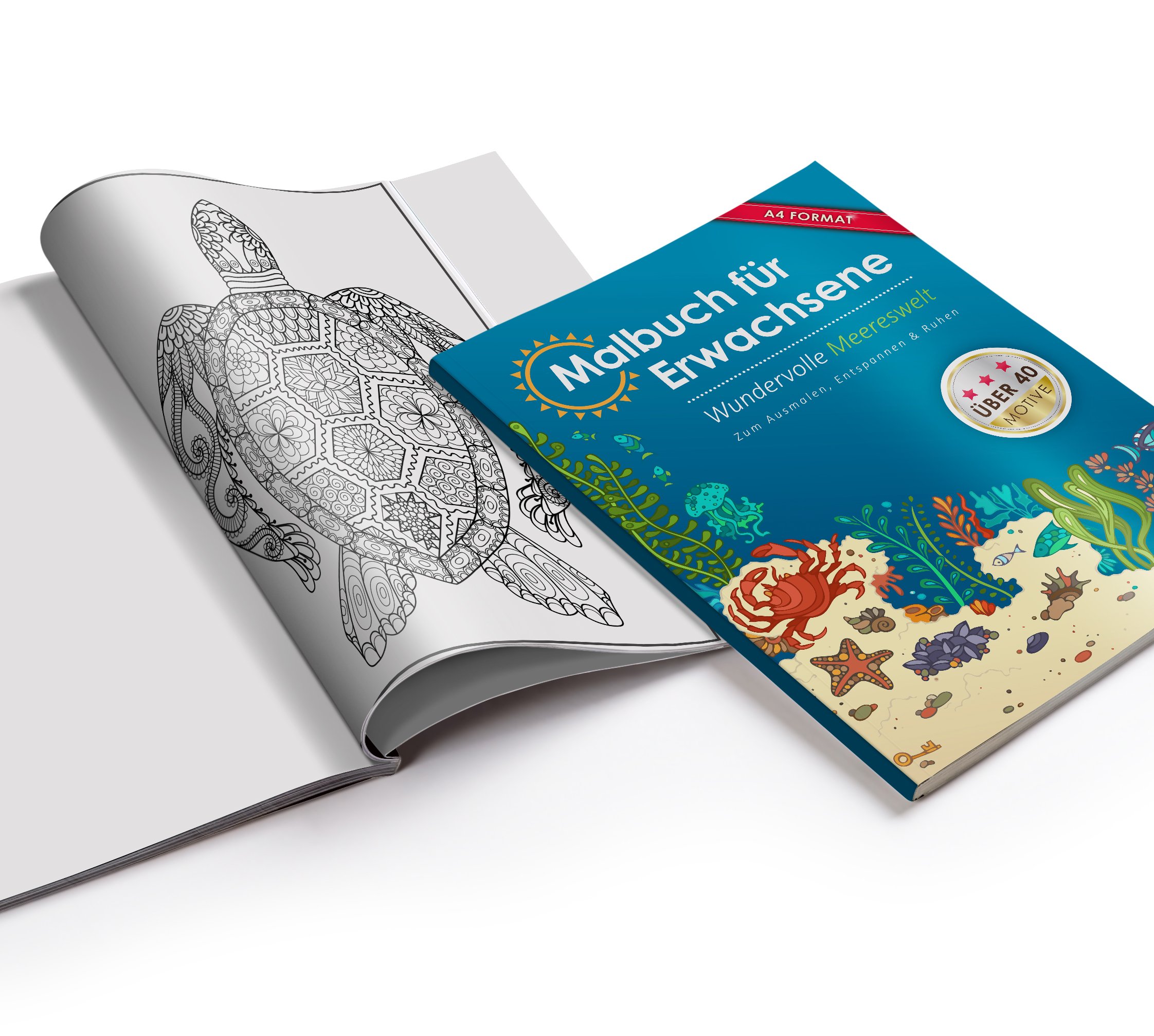 Kleestern Malbuch Fur Erwachsene Amazon De Malbucher Kleestern Erwachsene Ausmalbucher Fur Bucher