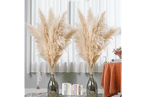 BNECNET 47 Inch 10 Stems Large Pampas Grass Decor Tall - Dried Pompas Grass Bulk Boho Home Decor - Natural Tall Pampas Grass for Floor Vase Wedding decor，Floor Vases Decor，Farmhouse，Party，Gift