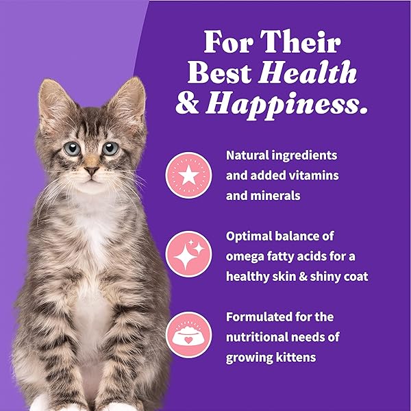 HALO HOLISTIC KITTEN FOOD, WILD CAUGHT SALMON & WHITEFISH RECIPE, GRAIN FREE DRY CAT FOOD, COMPLETE DIGESTIVE HEALTH, 6 LB BAG