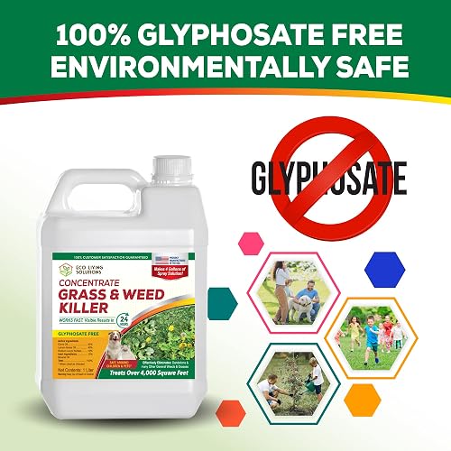Eco Living Solutions Weed Killer Concentrate - Pet Safe, Organic Spray for  Grass, Moss, Crabgrass & Dandelion - Glyphosate Free Herbicide in Saudi  Arabia | Whizz Weed Killers