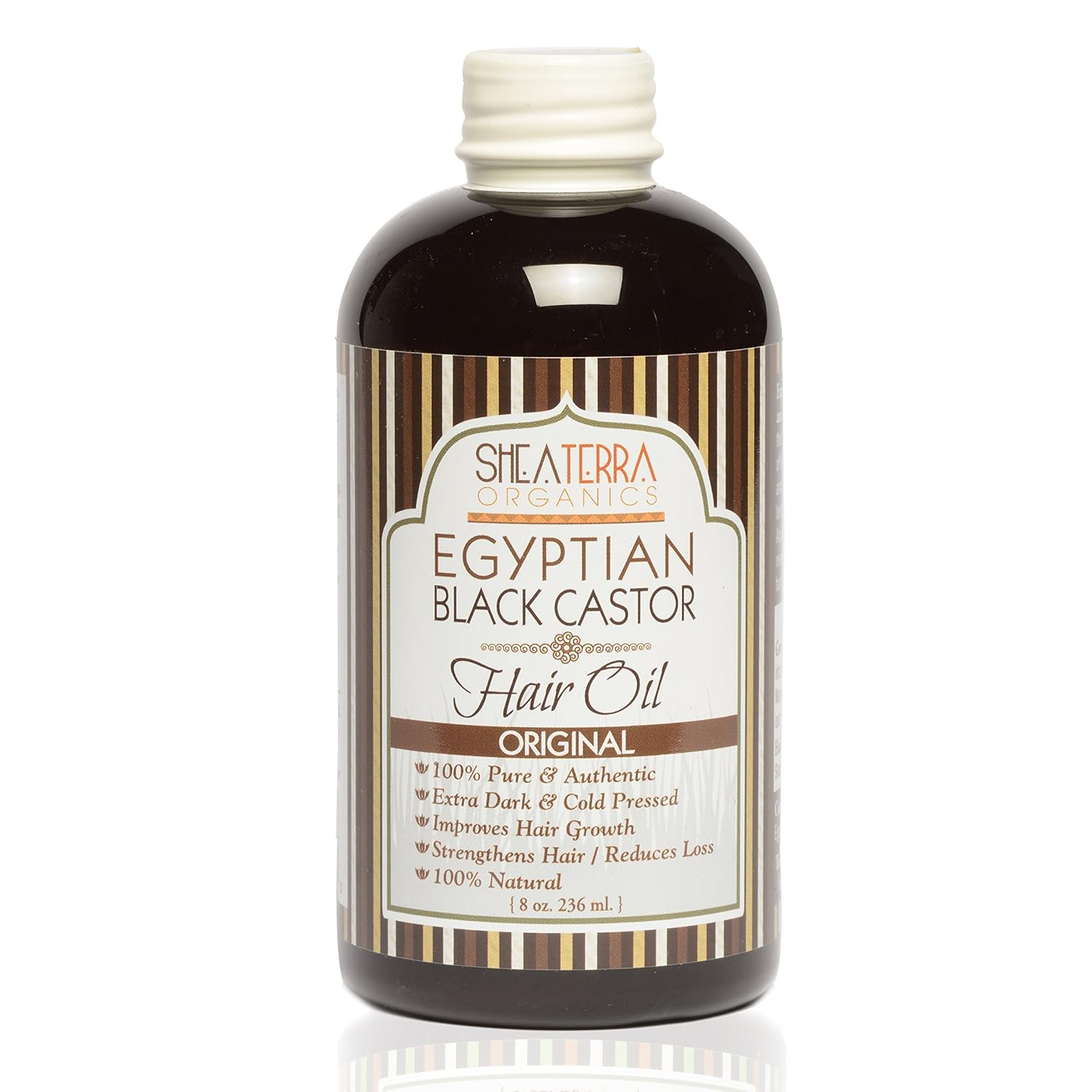 Amazon Com Shea Terra Organics Egyptian Black Castor Oil For Hair