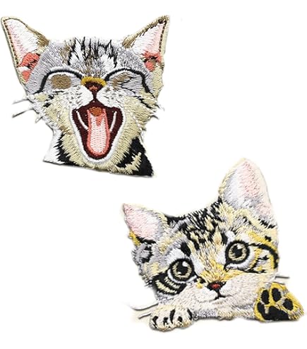Amazon.com: El Gato Cute Cat Foto Patch Animal Sweet Kitten