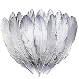 Larryhot Silver Goose Feathers for Cfafts - 6-8