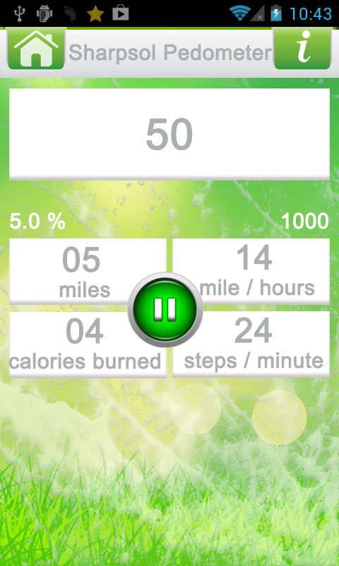 Pedometer Steps Counter