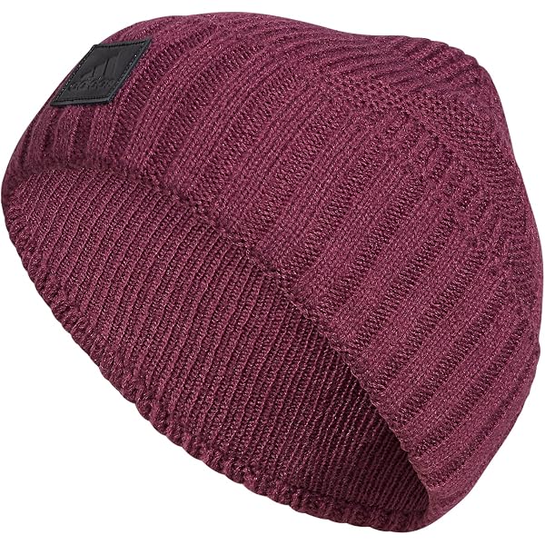 NEW HAT ATTACK epic beanie in burgundy Hat Attack Epic Beanie in Burgundy | REVOLVE main image 4