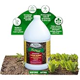 Medina Humate Liquid Humic Acid for Plants, 1 Qt, Covers 2000 Sq Ft | Strengthens Roots | Boosts Nutrient &amp; Water Uptake | Soil Conditioner for Lawns, Gardens &amp; Indoor Use
