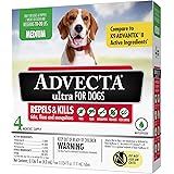 petlock max small dog