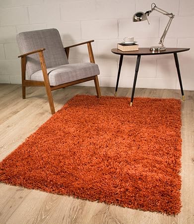 Amazon Com Luxury Burnt Orange Terracotta Shaggy Soft Pile Living Room Bedroom Shag Area Rug Mat 2 X 3 7 Furniture Decor