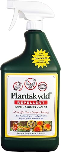 hstcstbl-table__image