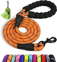 Taglory Rope Dog Leash 5 FT with Comfortable Padded