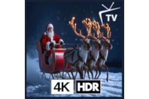 Santa Sleigh - Reindeer Night Fly for Holiday Magic