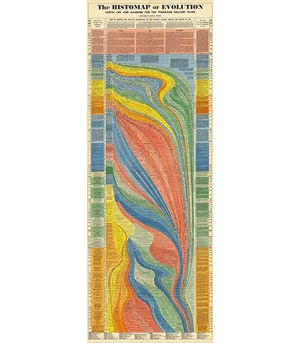 Laminated Dinosaur Evolution Educational Poster - 36x24 Inch Science Chart For Classroom Or Room Decor