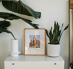 Gdfmsc 11x14 Picture Frame with Mat for