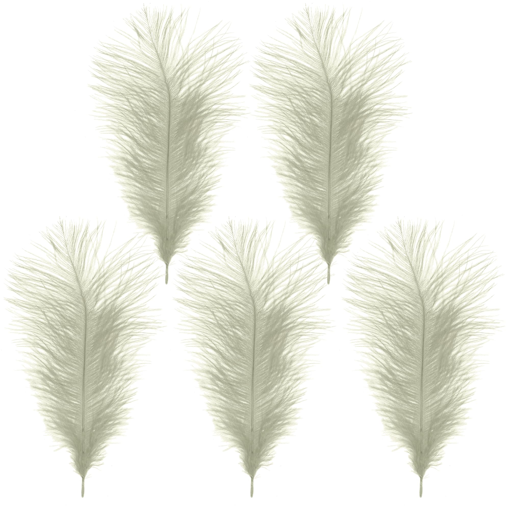 WedDecor Ivory Natural Ostrich Feathers 14-16" (35-40cm) Long for Wedding Centerpieces, Home, Decorating Costumes, Embellishment, Art & Craft, Parties (Pack of 5)