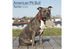 American Pit Bull Terrier Calendar 2025 | Square Dog Breed Wall Calendar - 16 Month