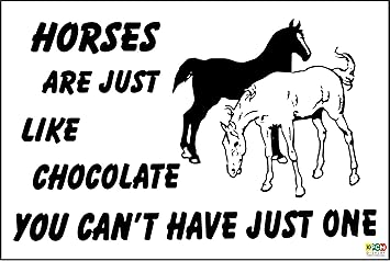 Witziges Schild Pferde wie Schokolade nicht haben können 1 Weihnachtsgeschenk 4 Tierliebhaber – 1,2 mm starrer Kunststoff 300