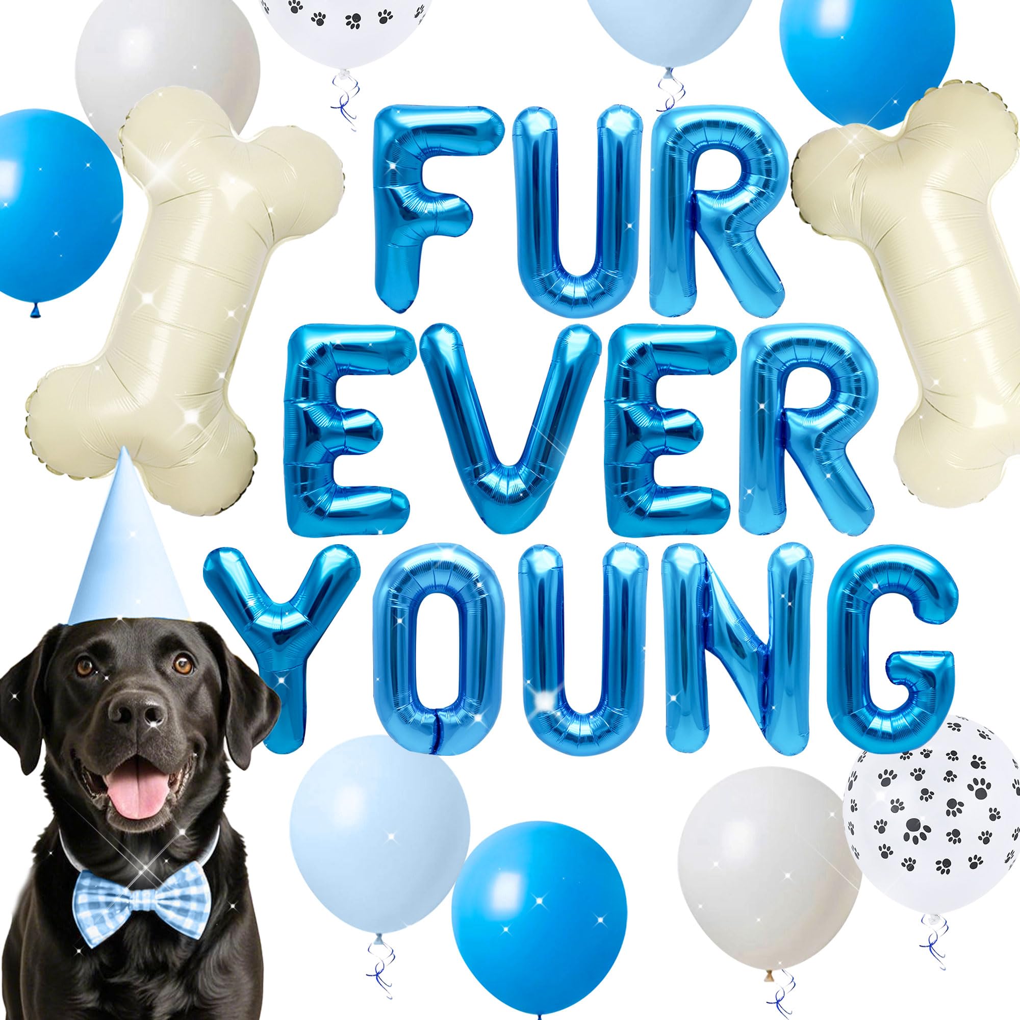 View 1 of 15 PCS Blue Dog Birthday Party Decoration Fur Ever Young Pet Puppy Birthday Party Supplies Decorations Lets Pawty Balloons Puppy Themed Birthday Decorations Dog Balloons