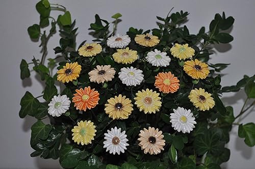 20 Keramikblumen: Gänseblümchen