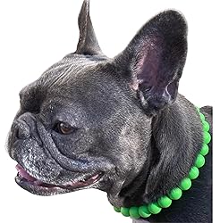 Dog Necklace