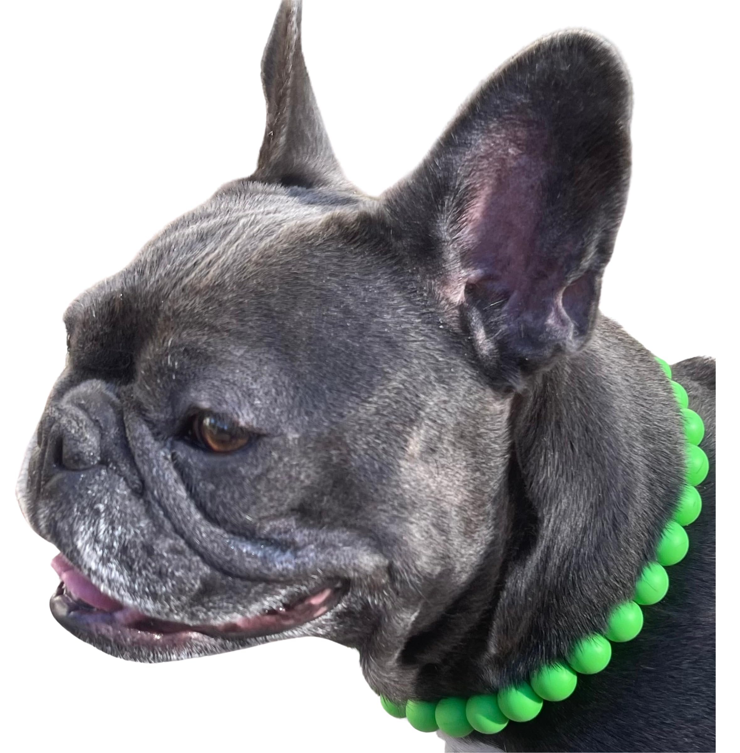 Dog Necklace