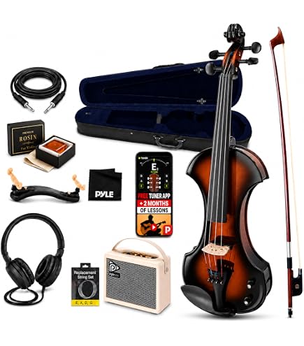 Amazon.com: Stagg EVN 4/4 BK Silent Violin Set with Case - Black
