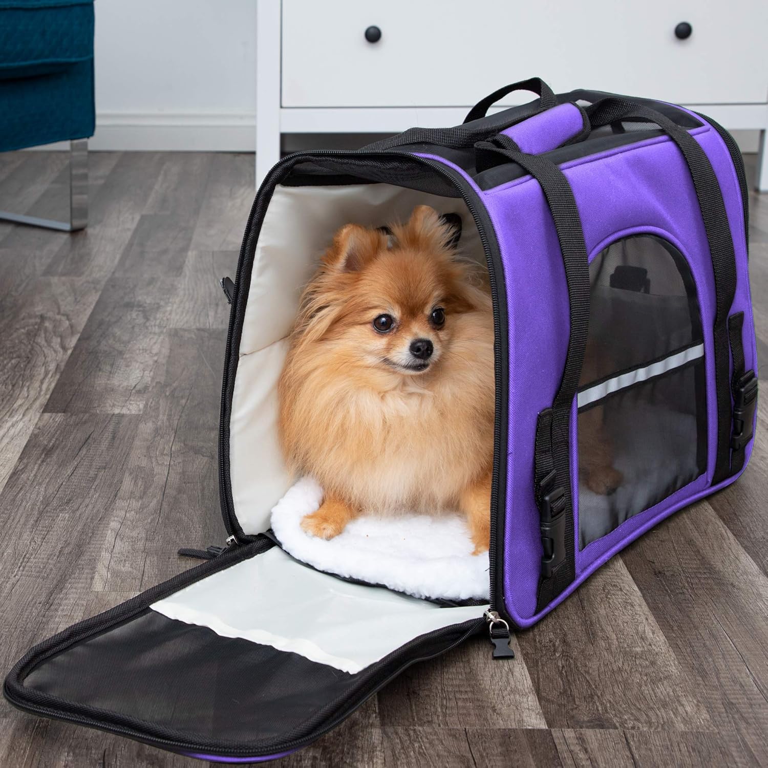 Paws & Pals Airline Approved Pet Carrier - Soft-Sided Carriers for Small Medium Cats and Dogs Air-Plane Travel On-Board Under Seat Carrying Bag with Fleece Bolster Bed for Kitten Cat Puppy Dog Taxi : Pet Supplies