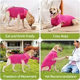 HEYWEAN Dog Recovery Suit Post Op Bodysuit for Neutering Spay Recovery view 7