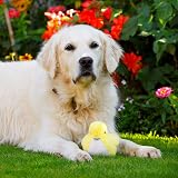 Petface Leah the Little Bird Plush Dog Toy view 7