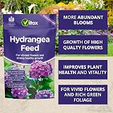 Vitax Hydrangea Feed Specially Tailored 1kg Magnesium Iron view 2