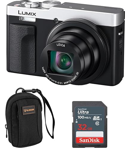 Amazon.com : Panasonic DMC-FS42P-K Lumix FS42 10.1 Megapixel