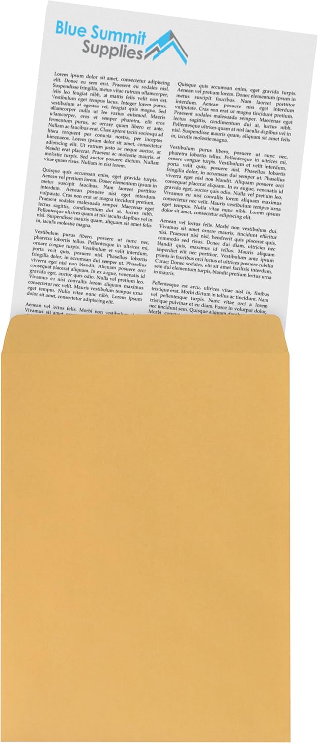 100 9 X 12 Self Seal Golden Brown Kraft Catalog Envelopes - Designed for Secure Mailing - Oversize Strong Peel and Seal Flap with 28 Pound Kraft Paper- 100 Envelopes : Office Products