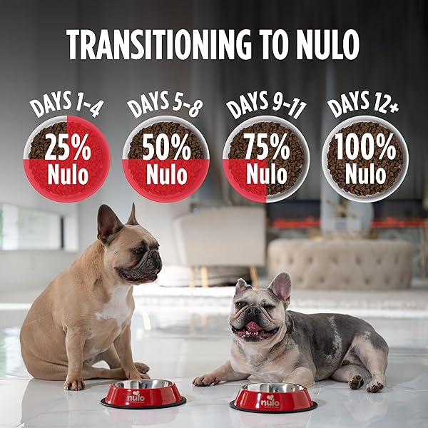 NULO FREESTYLE LIMITED INGREDIENT DRY DOG FOOD – HIGH PROTEIN SALMON RECIPE, NATURAL GRAIN FREE DOG FOOD FOR PUPPIES & ADULTS, SMALL, MEDIUM AND LARGE BREED KIBBLE, 5.5LB BAG