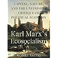 Karl Marx’s Ecosocialism: Capital, Nature, and the Unfinished Critique of Political Economy