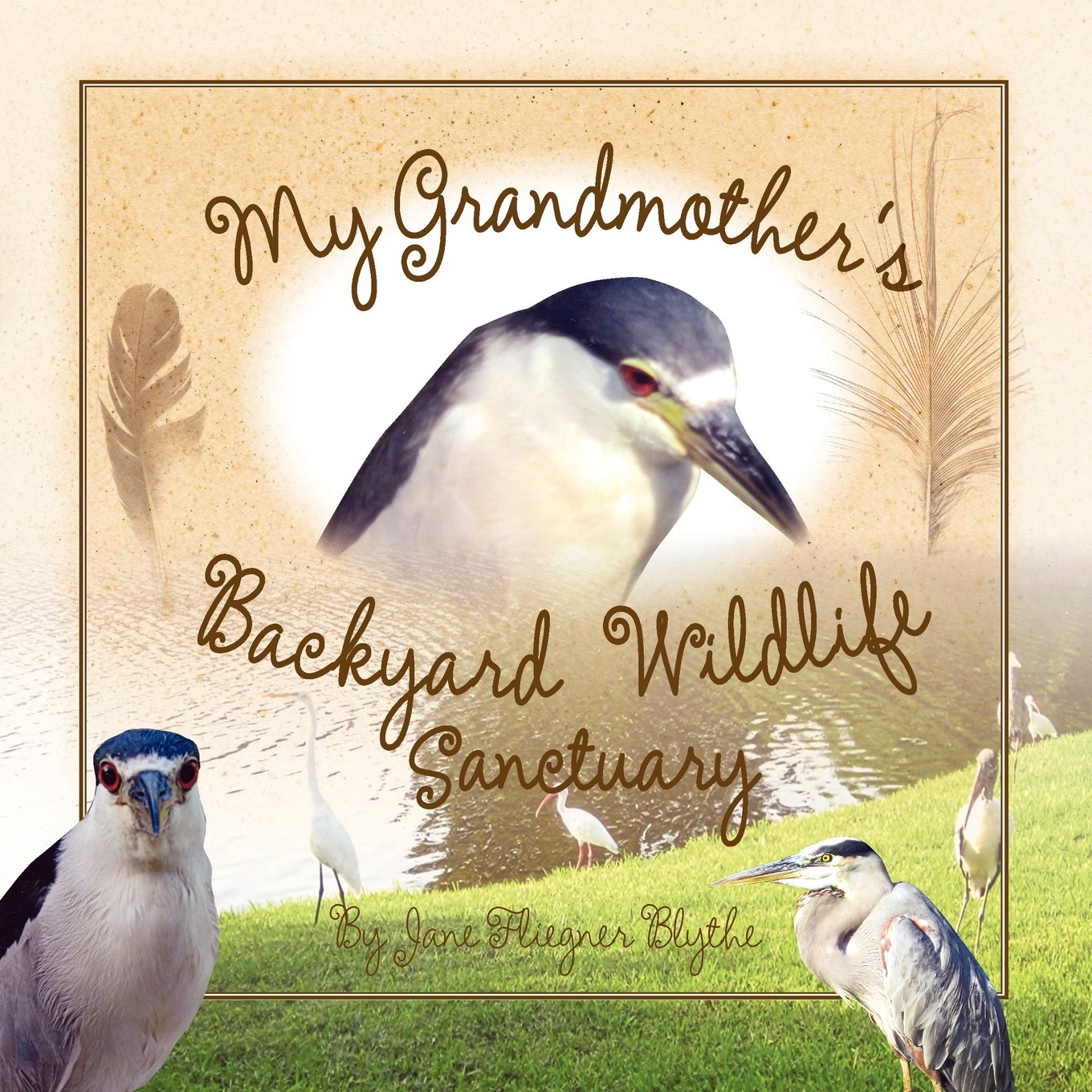 My Grandmother S Backyard Wildlife Sanctuary Jane Fliegner Blythe