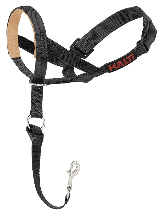 Halti Headcollar Padded Black, Size 3 Amazon.co.uk Pet Supplies