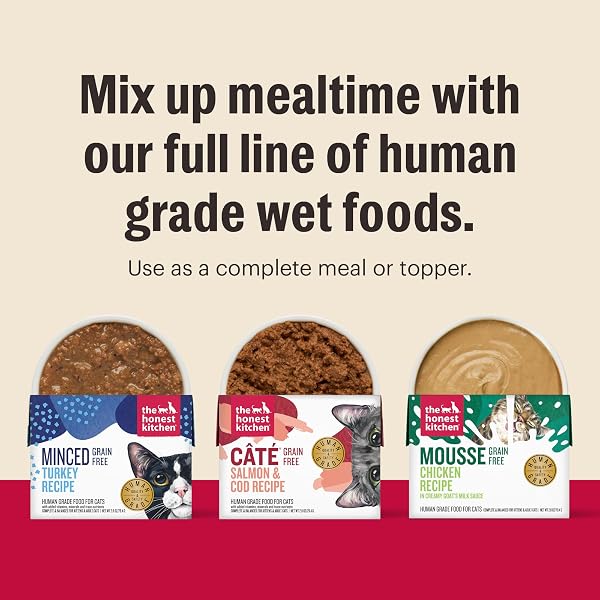 THE HONEST KITCHEN HUMAN GRADE CÂTÉ™ GRAIN FREE TURKEY PÂTÉ WET CAT FOOD, 2.8 OZ X12