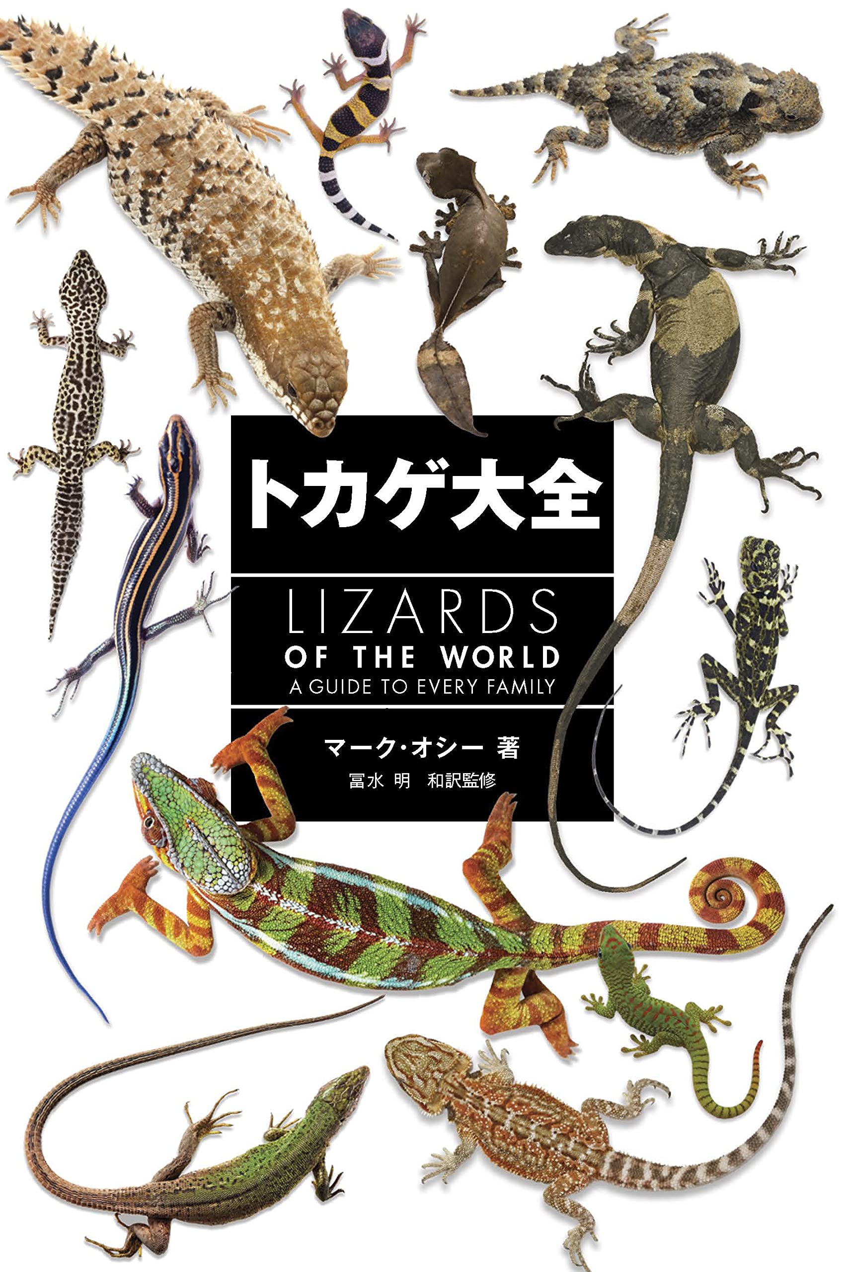 トカゲ大全 Lizards Of The World マーク オシー 冨水 明 海老沼 剛 本 通販 Amazon