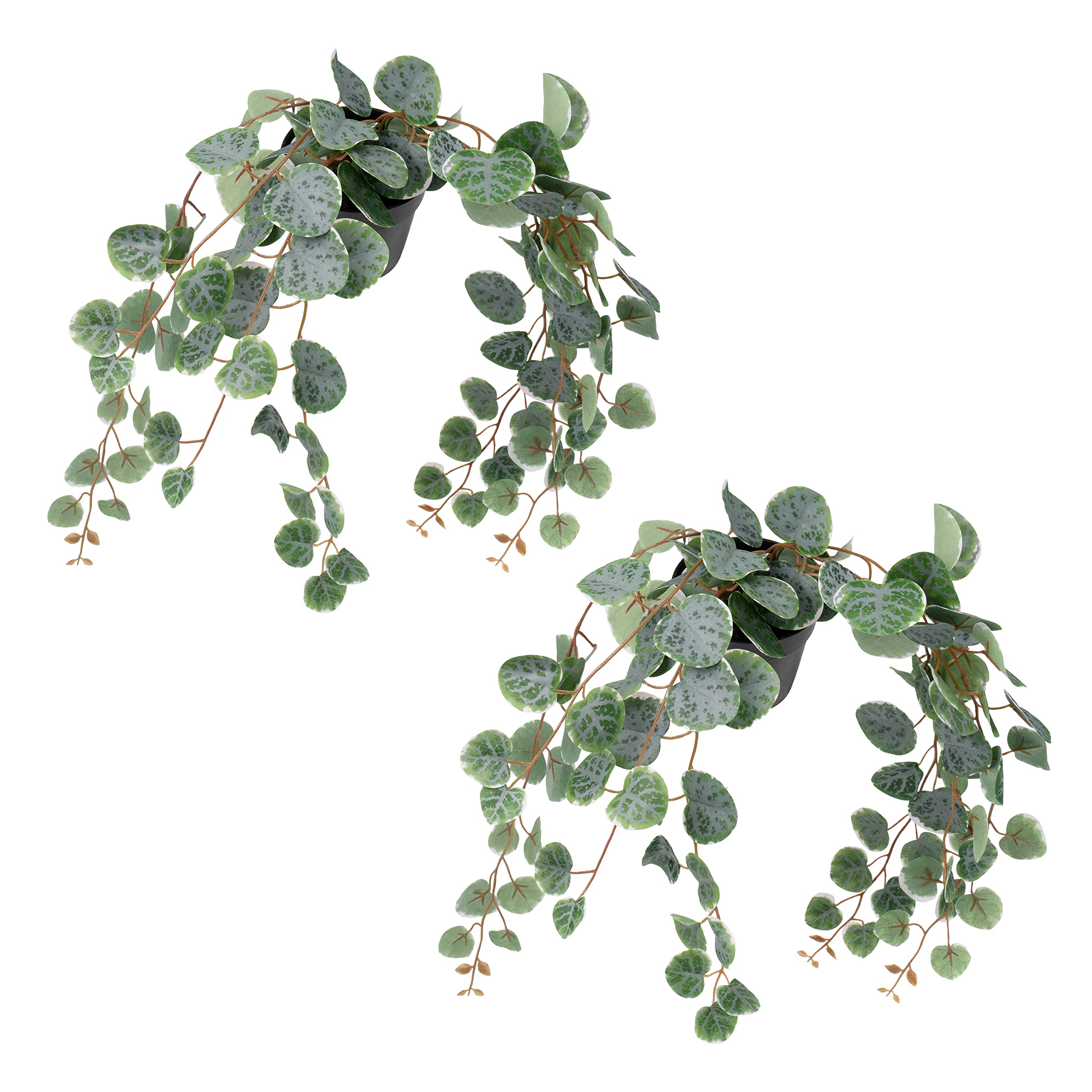 Ikea FEJKA Artificial Potted Plants, Hanging/Trailing String of Hearts, 41x9 Centimetres - Set 2, Green, 40x9cm