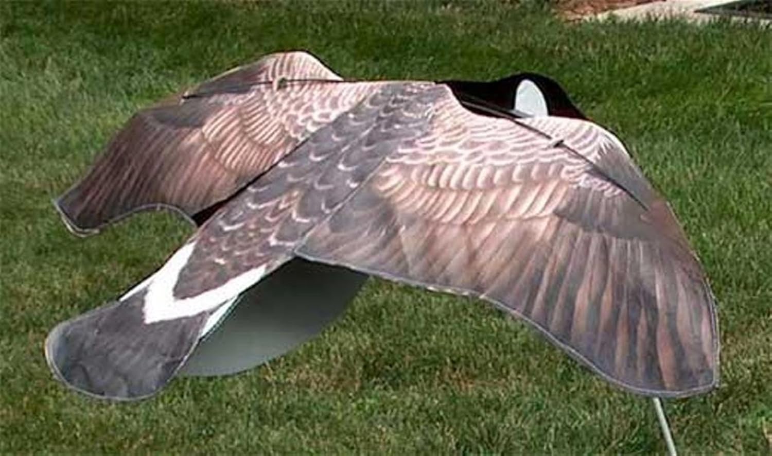 Sillosocks Flapping Canada Snow Goose Decoy, Grey, Decoys Amazon Canada