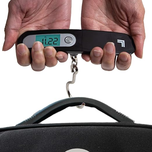 sharper image luggage 29