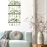 XXXFLOWER Wall Hanging Propagation Station with 15 Test Tubes view 6