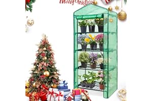 EAGLE PEAK 4-Tier Mini Greenhouse Portable Green House with Shelves & Weather-Resistant PE Cover, Small Greenhouse for Seedlings & Gardening Gifts, 27x19x64 in, Clear/Green