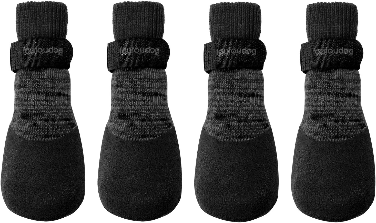 dogs to adopt around me